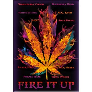 FIRE IT UP - Retrorocket Studio Exclusive Artwork, Refrigerator MAGNET, 2.5" X 3.5