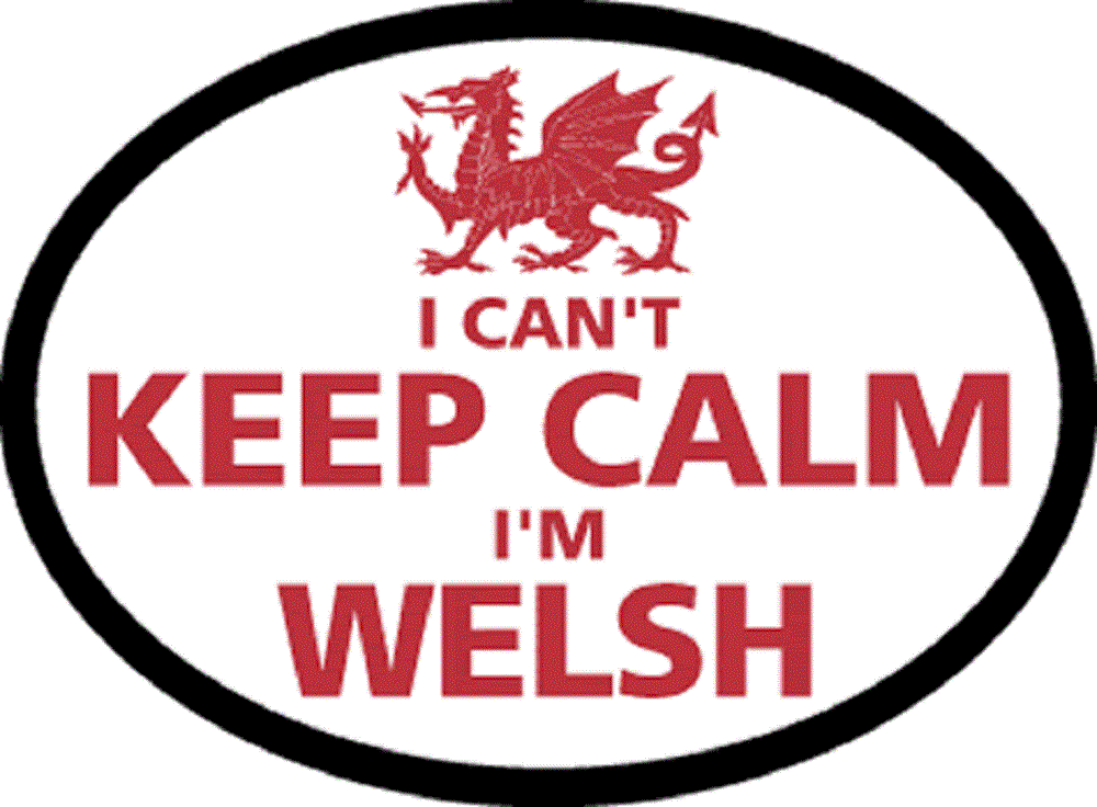 I CAN'T KEEP CALM I'M WELSH Sticker - Orignal Artwork Vinyl - Reflective British Oval Decal Sticker - 3.5" x 4.75"