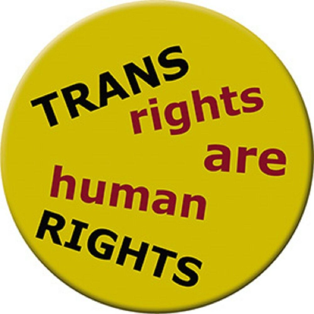 TRANS RIGHTS - LGBTQ Original Licensed Artwork Refrigerator MAGNET, 3" x 3"