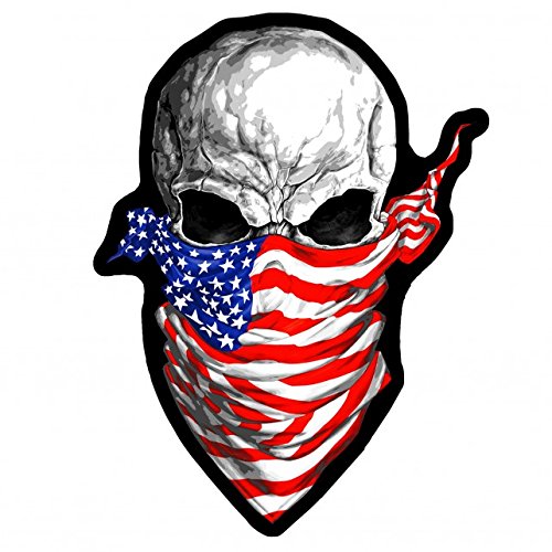 AMERICA RISING SKULL, High Thread Embroidered Iron-On / Saw-On, Heat Sealed Backing Rayon PATCH - 9" x 12"