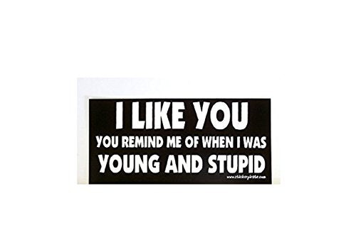 I Like You Motorcycle Helmet Stickers - Novelty Artwork Biker Decals, 4 x 1"