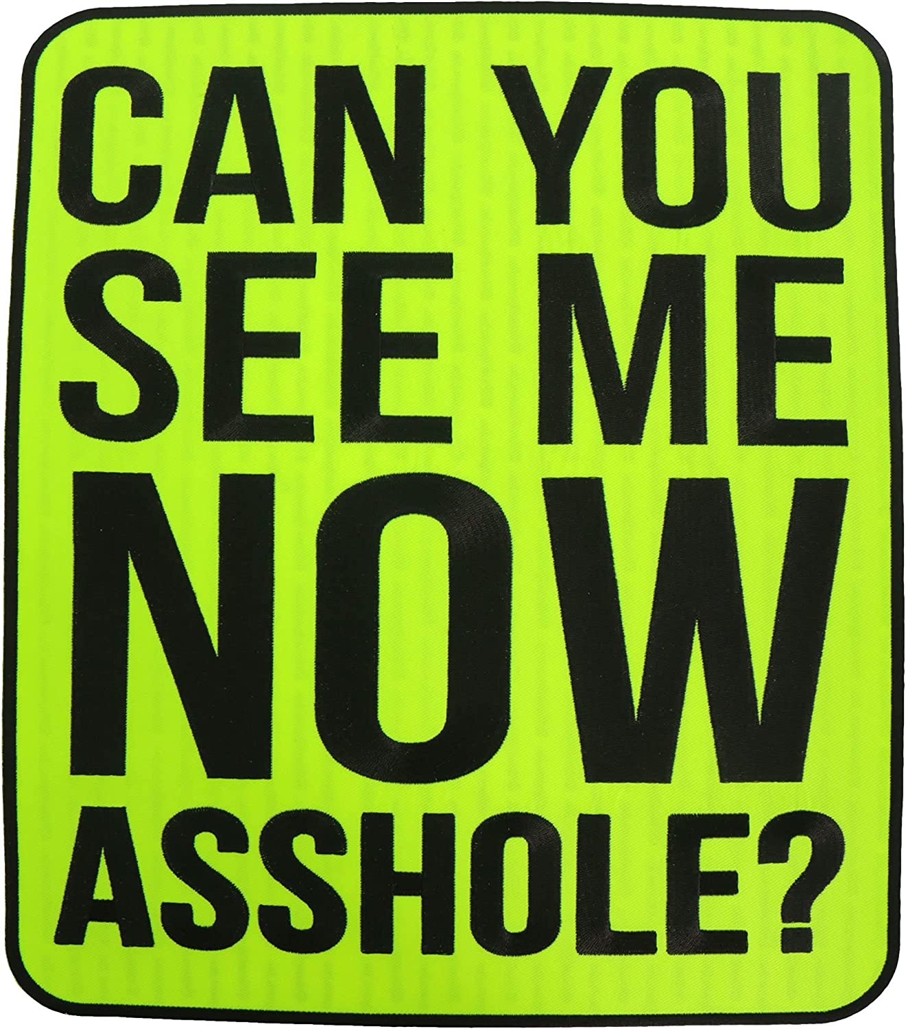 CAN YOU SEE ME NOW A@@@@@E? PATCH - High Thread Iron-On Heat Sealed Backing Sew-On Biker's Large Patch - 11.5" x 13"