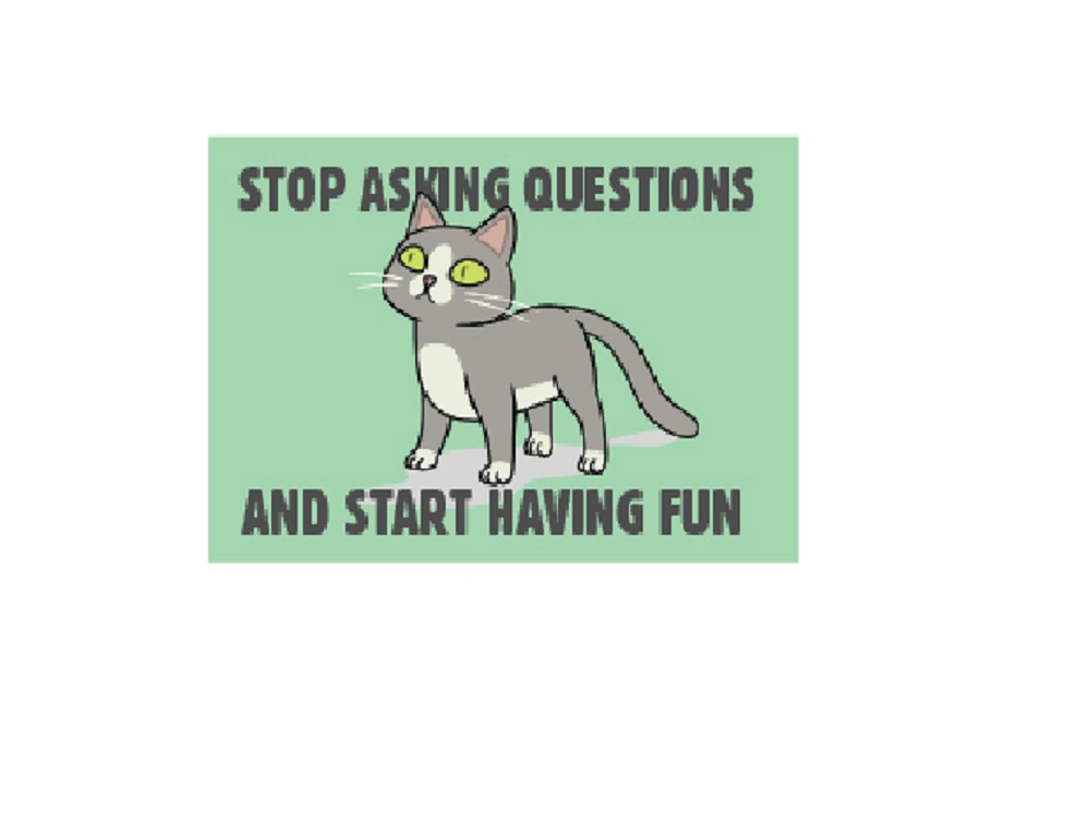 RICK & MORTY MAGNET - Officially Licensed STOP ASKING QUESTIONS Artwork Decorative Refrigerator Magnet - 2.5" x 3.5"
