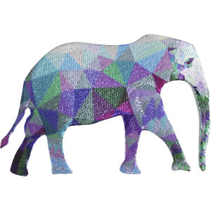 C&D Visionary Iron Patch (P-4644)