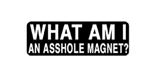 What Am I An A$$hole Magnet Helmet Stickers - Novelty Artwork Decals, 4" x 1"