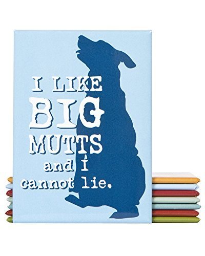 Dog is Good I Like Big Mutts Magnet