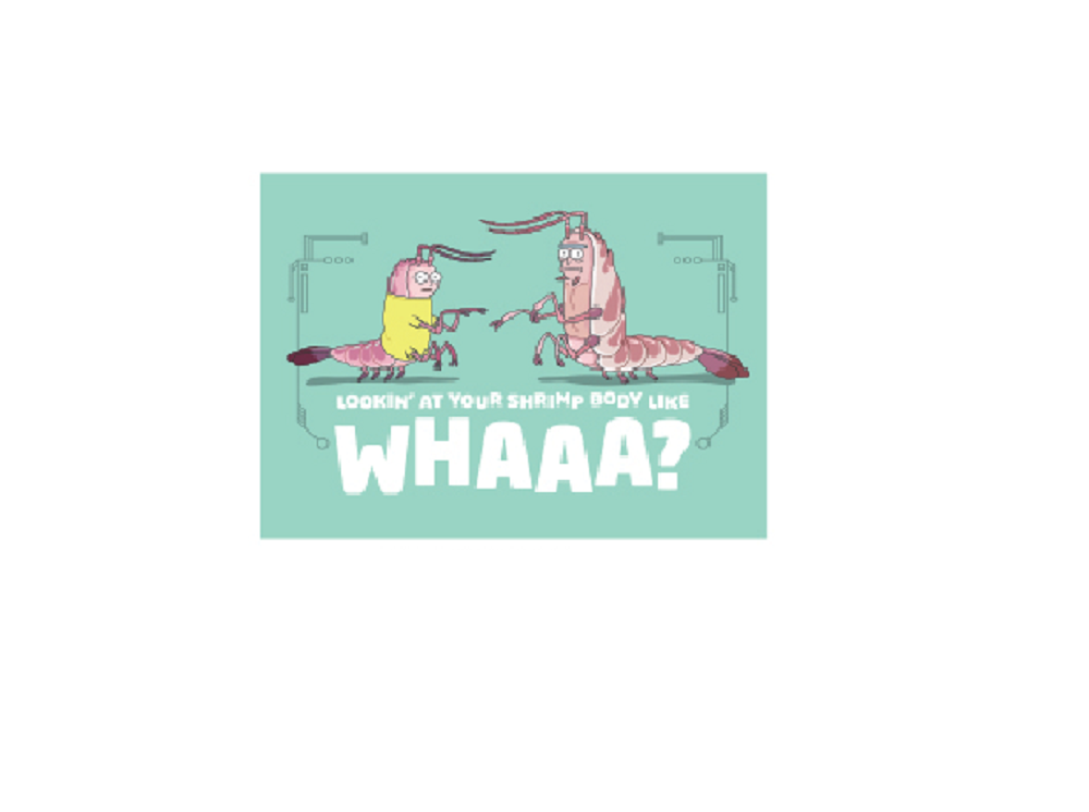 RICK & MORTY MAGNET - Officially Licensed LOOKIN AT YOUR SHRIMP BODY LIKE WHAAA? Refrigerator Fridge Magnet, 2.5" x 3.5"