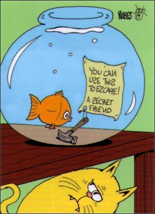 Rubes Use This To Escape Friend Fish Magnet RM4809