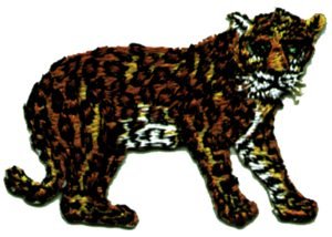 C&D Visionary Iron Patch (P-0241)