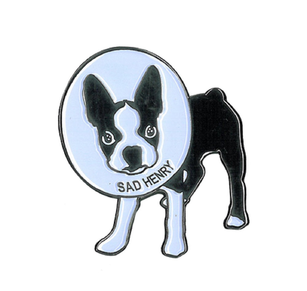 Sad Henry Enamel Pin - Novelty Funny Sad Henry is Wearing his Cone of Shame - Quality Cute Enamel Lapel PIN - 1" x 1.5"