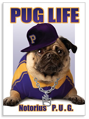 PUGGO Pugs Art Collection, PUGGO HIP Pug, - Officially Licensed Exceptional Pug Heavy Duty MAGNET - 2.5" x 3.5"