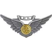 USN, COMBAT AIRCREW - Officially Licensed Original Artwork, Expertly Designed , PIN - 2"