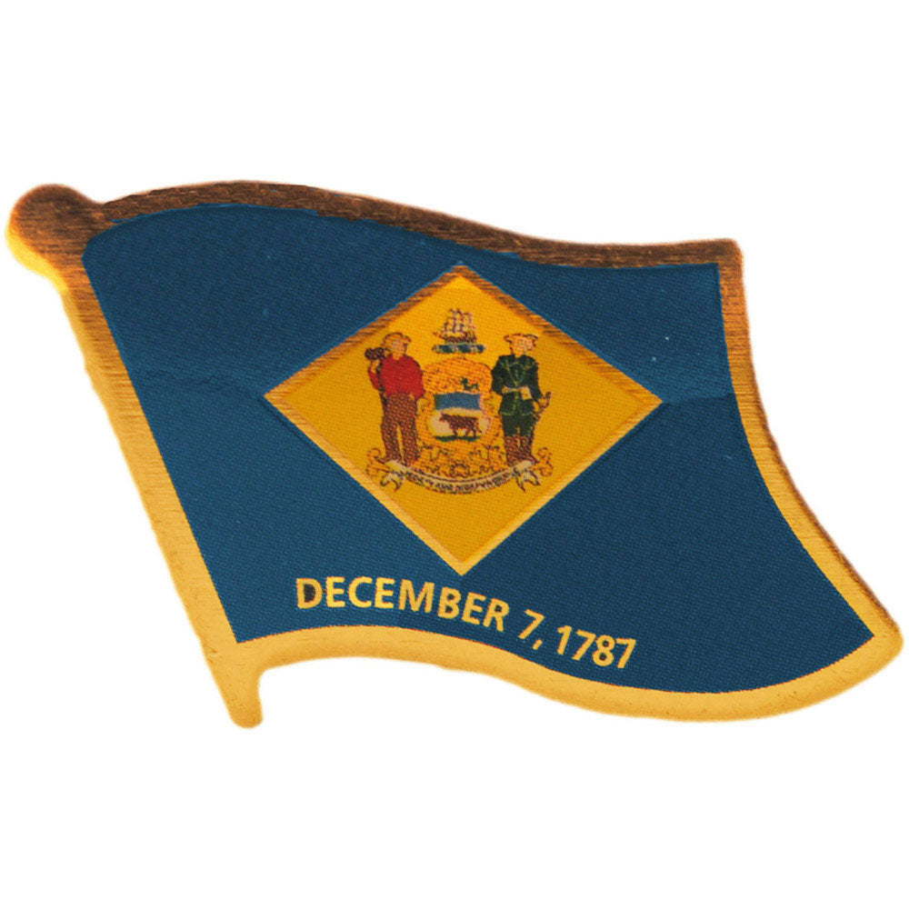 American Flag Pin, US STATES DELAWARE Flag - Novelty Patriotic Enamel Lapel PIN - 1"