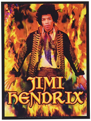 Ramones C&D Visionary S-8081 Jimi Hendrix Sticker