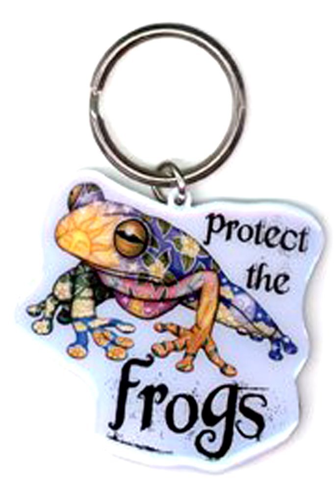 Dan Morris Protect the Frogs - Grateful Dead, Durable METAL KEYCHAIN for Car Motorcycle Home Office Keys - 2.25" x 2"