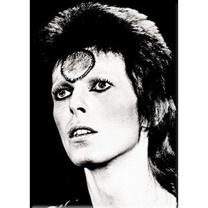 Bowie David Black & White, Officially Licensed Original Artwork, MAGNET - 2.5" x 3.5"