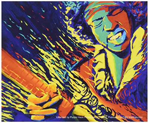 Jimi Hendrix C&D Visionary S-8091 Sticker
