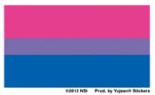 NSI - Bi Flag - Mini Sticker / Decal
