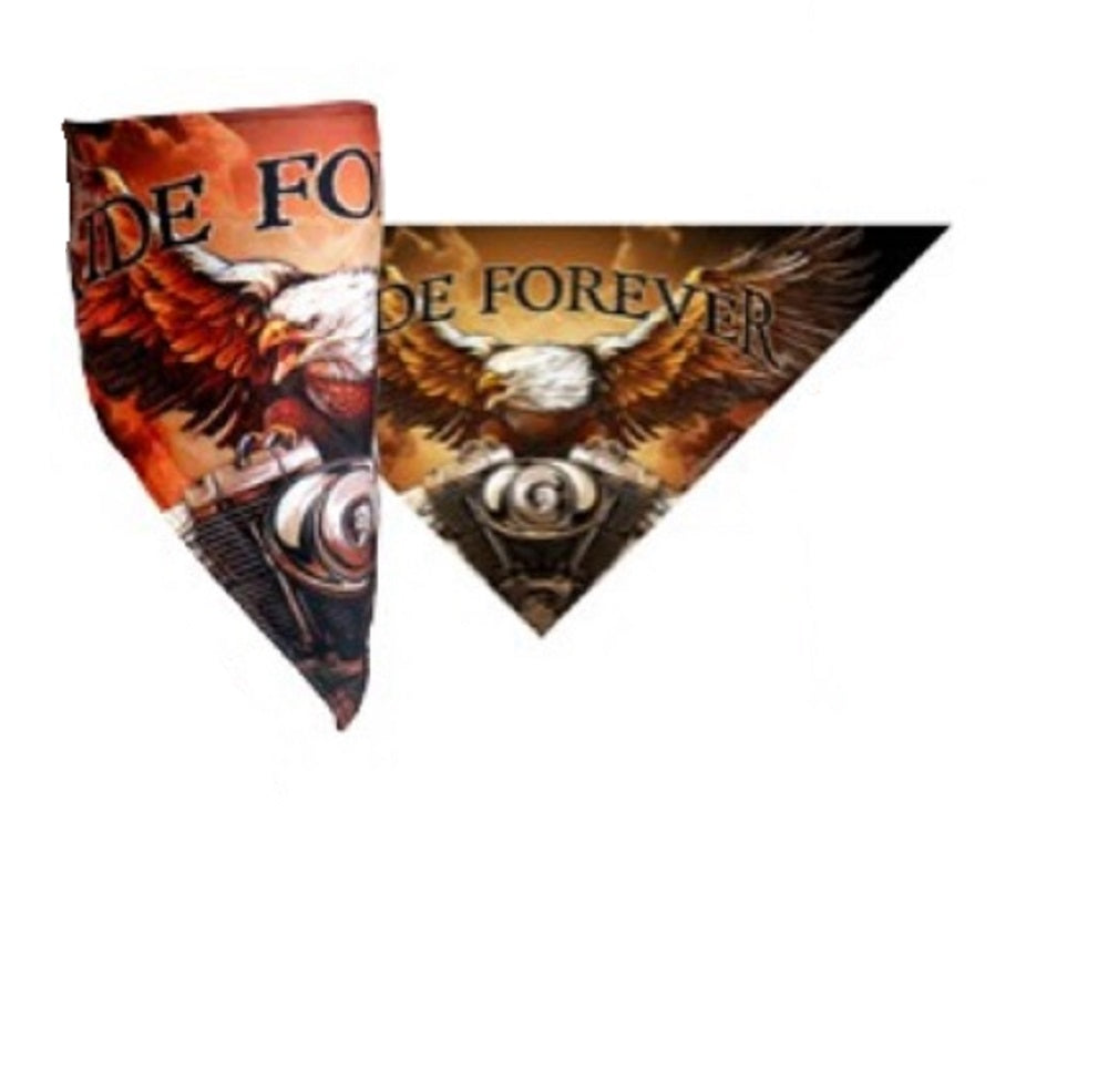 Storm Cloud Eagle Bikers Mask, Hook and Loop Fastener - Triangle Fleece Lined Neck Warmer Face Wrap, Facemask - One Size