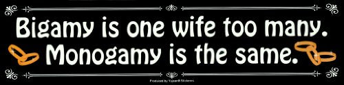 NSI - Bigamy Is One Wife Too Many. Monogamy Is the Same - Bumper Sticker