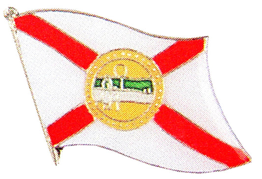 American Flag Pin, US STATES FLORIDA Flag - Novelty Patriotic Enamel Lapel PIN - 1"