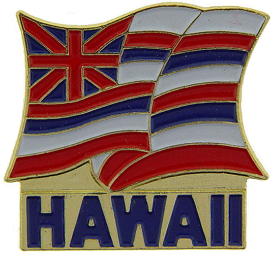 USA STATES, HAWAII - Original Artwork, Expertly Designed PIN - 1"