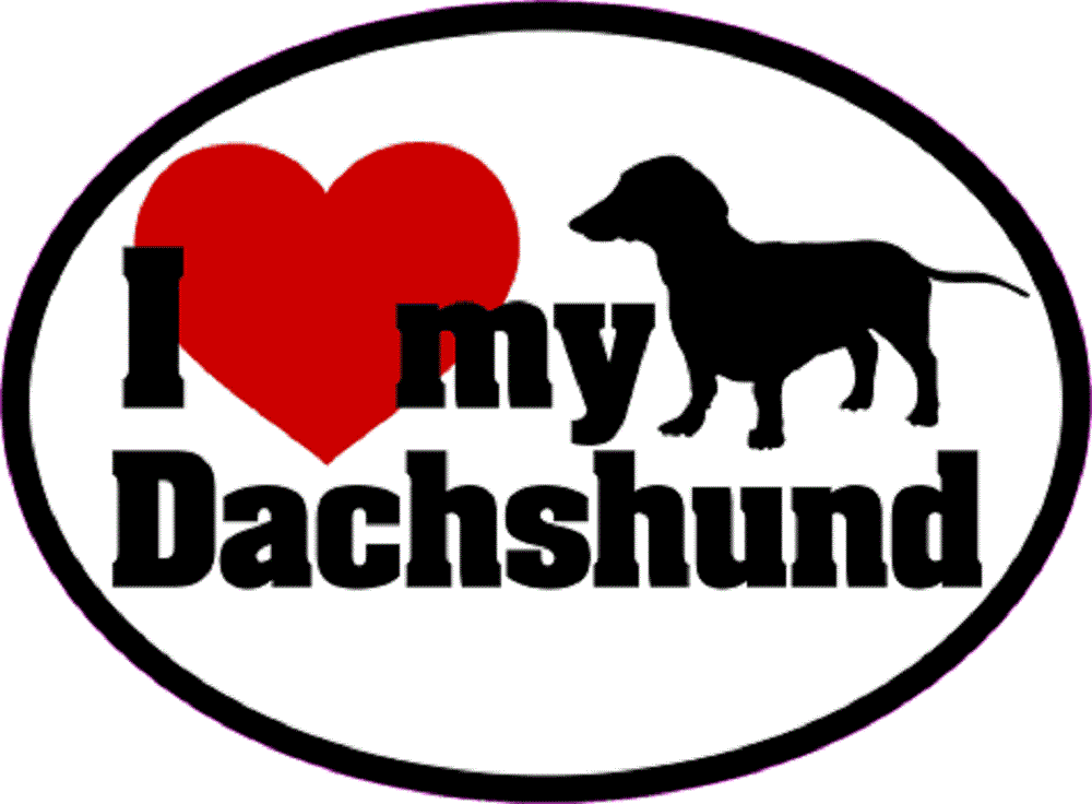 I LOVE MY DASCHSHUND Sticker - Orignal Artwork Vinyl - Dog Lover's Oval Decal Sticker - 3.5" x 4.75"