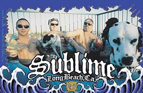 C&D Visionary Sublime Photo Sticker (S-7575)