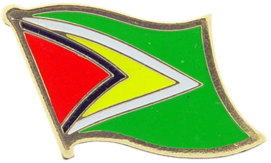 INTERNATIONAL, GUYANA Flag - Original Artwork, Expertly Designed PIN - 1"