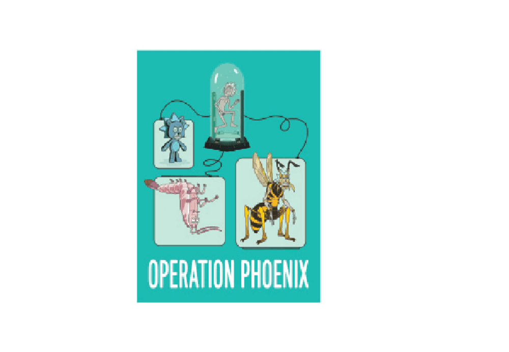 RICK & MORTY MAGNET - Officially Licensed OPERATION PHOENIX Artwork Decorative Refrigerator Fridge Magnet - 2.5" x 3.5"