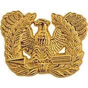 US ARMY, WARRANT OFFICER - Officially Licensed Original Artwork, Expertly Designed , PIN - 1"
