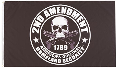 Biker Flag - 1789 2nd AMENDMENT America's Original Homeland Security - 3" x 5"