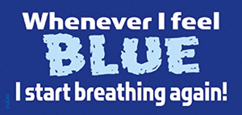 C&D Visionary Whenever I Feel Blue Sticker (S-5364)