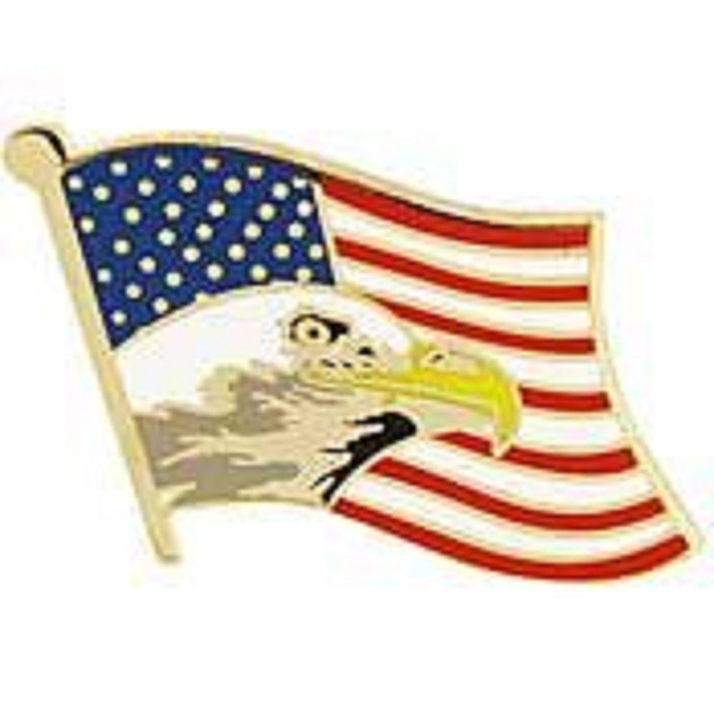 USA & PATRIOTIC, USA FLAG EAGLE HEAD - Original Artwork, Expertly Designed PIN - 1.375"