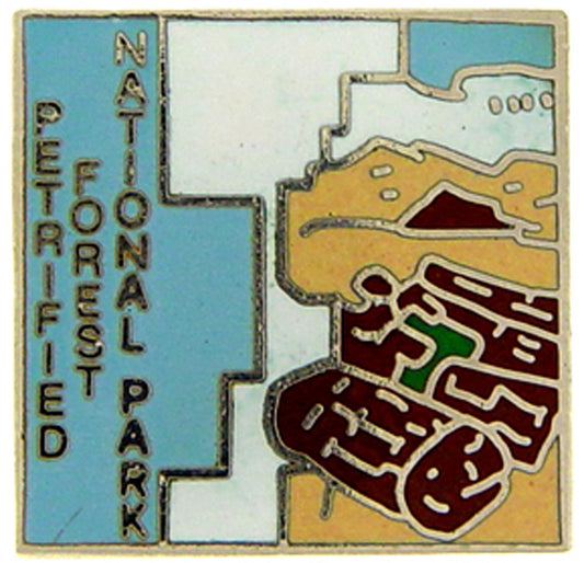 USA STATES, National Park PETRIFI FORE - Original Artwork, Expertly Designed PIN - 1"