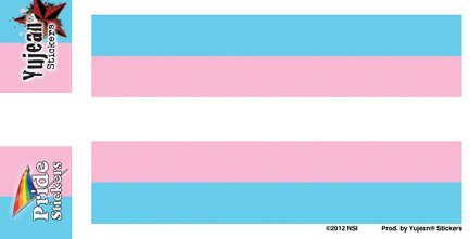 NSI - Transgender Pride Flag Sticker Decal - 5" x 3.75" - Weather Resistant, Long Lasting for Any Surface
