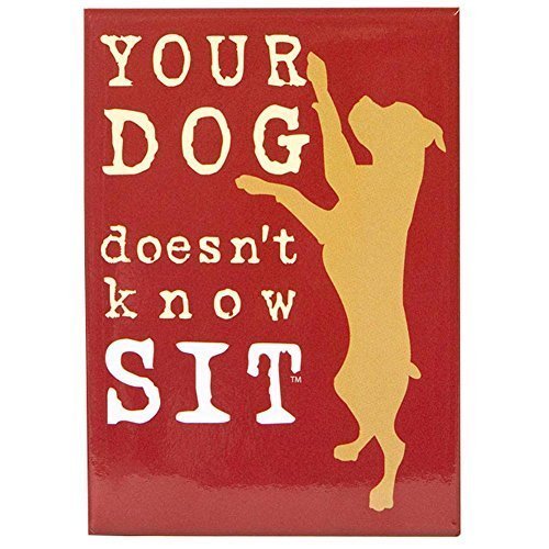 Dog is Good Your Dog Doesn't Know Sit Magnet