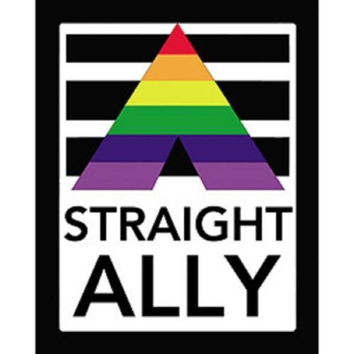 STRAIGHT ALLY UNIVERSAL STICKER - Licensed Original LGBTQ Artwork DECAL, 4" x 5"