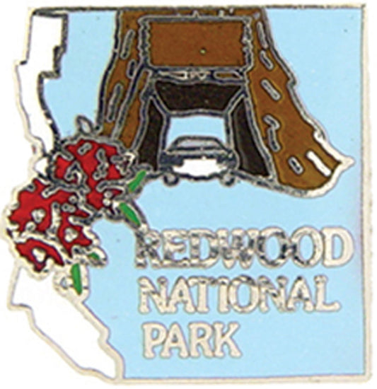 USA STATES, National Park REDWOOD - Original Artwork, Expertly Designed PIN - 1"