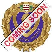 Gold Star Family Member - Expertly Designed, PIN - 0.625"