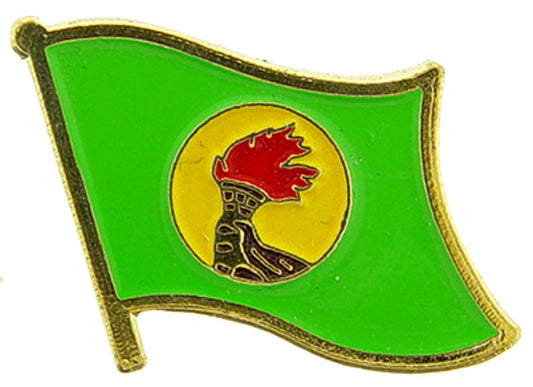 INTERNATIONAL, ZAIRE Flag - Original Artwork, Expertly Designed PIN - 1"