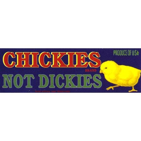 Sublime Design - Chickies Not Dickies - Bumper Sticker / Decal