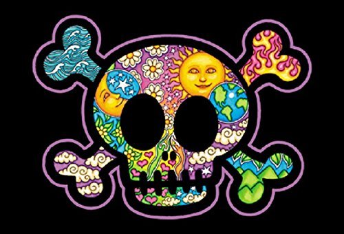 Skull and Crossbones - Dan Morris, Set of 2 Mailable POSTCARD for Travel Invitation Holiday Thank you Cards - 6"x4"