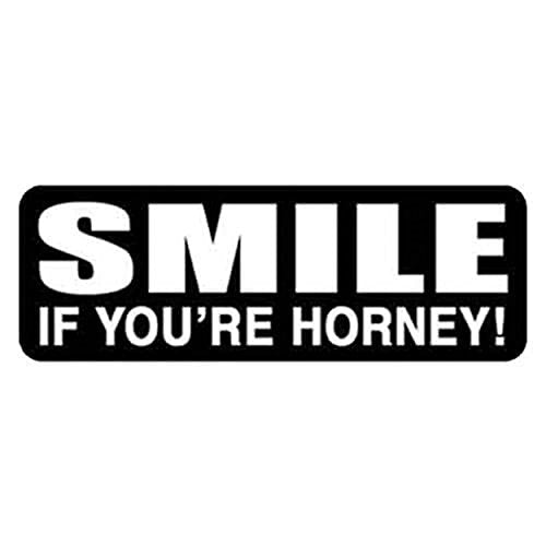 Smile If You're Horney Helmet Stickers - Novelty Artwork Biker Decals, 4" x 1"