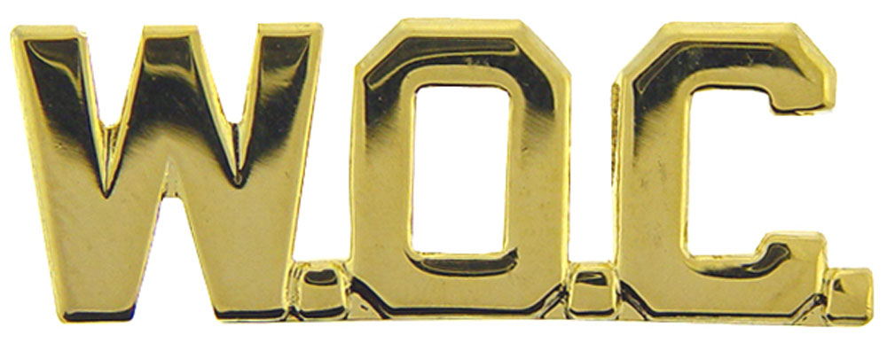 U.S. ARMY, ARMY SCR WOC - Original Artwork, Expertly Designed PIN Gold - 1"
