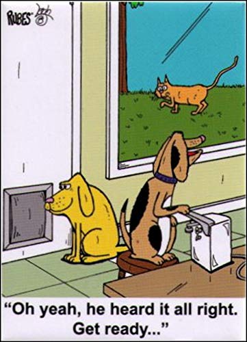 Rubes Oh Yeah He Heard It All Right Get Ready Dogs Magnet RM4353