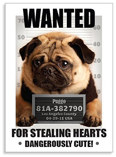 PUGGO Pugs Art Collection, WANTED - Officially Licensed Pug Heavy Duty MAGNET - 2.5" x 3.5"
