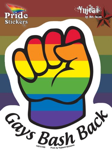 NSI - Gays Bash Back Rainbow Fist - Sticker / Decal
