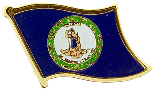 USA STATES, VIRGINIA Flag - Original Artwork, Expertly Designed PIN - 1"