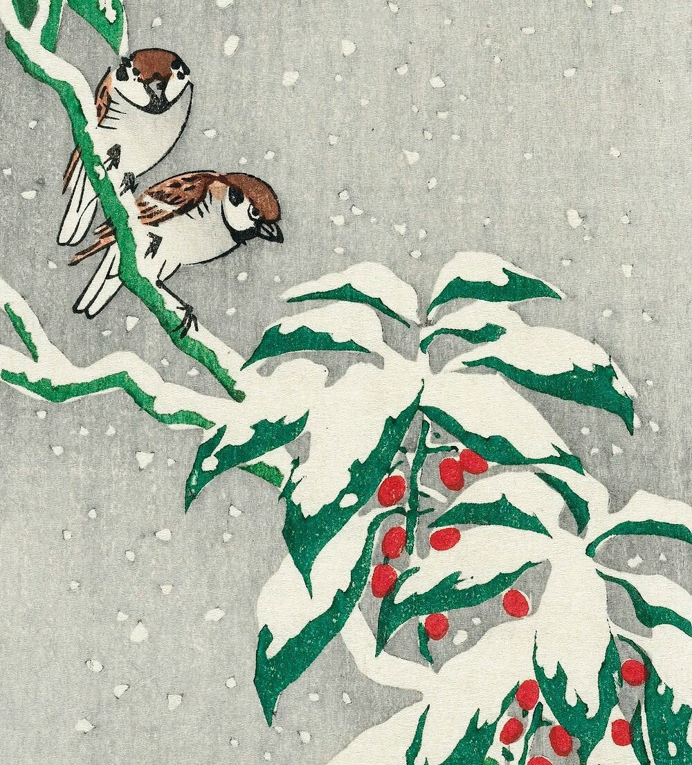 FLYING WISH PAPER® - Write it, Light it, & Watch it Fly - SNOW BIRDS - 5" x 5" - Whimsical Mini Kits